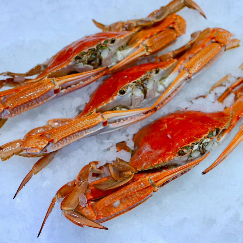 Cooked Blue Swimmer Crabs