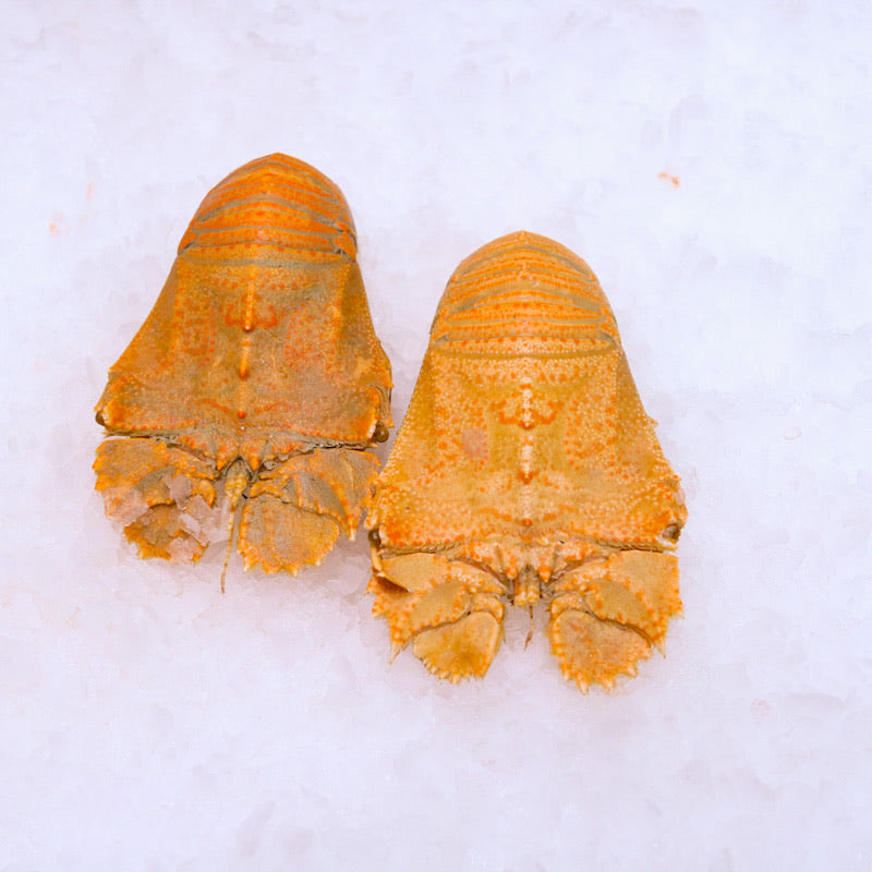 Cooked Moreton Bay Bugs