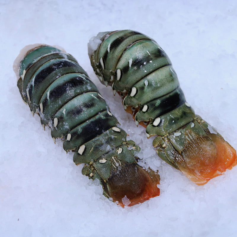 Lobster Tails