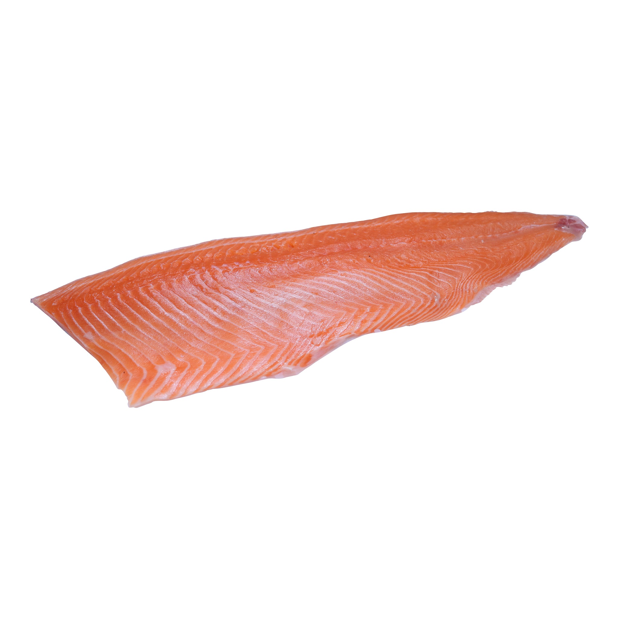 Atlantic Salmon side