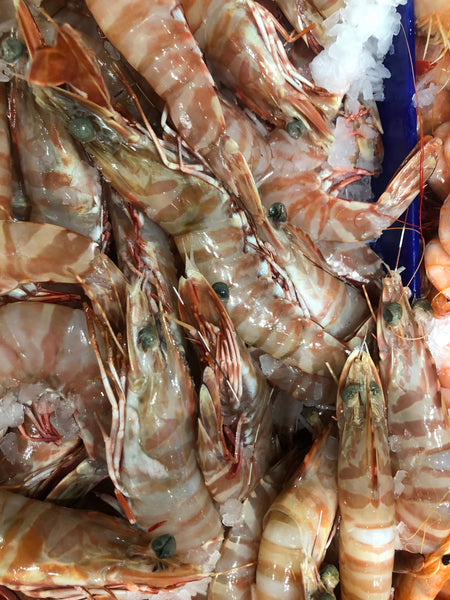 Wild Green Tiger Prawns Size: 16/20 – Seafood and More