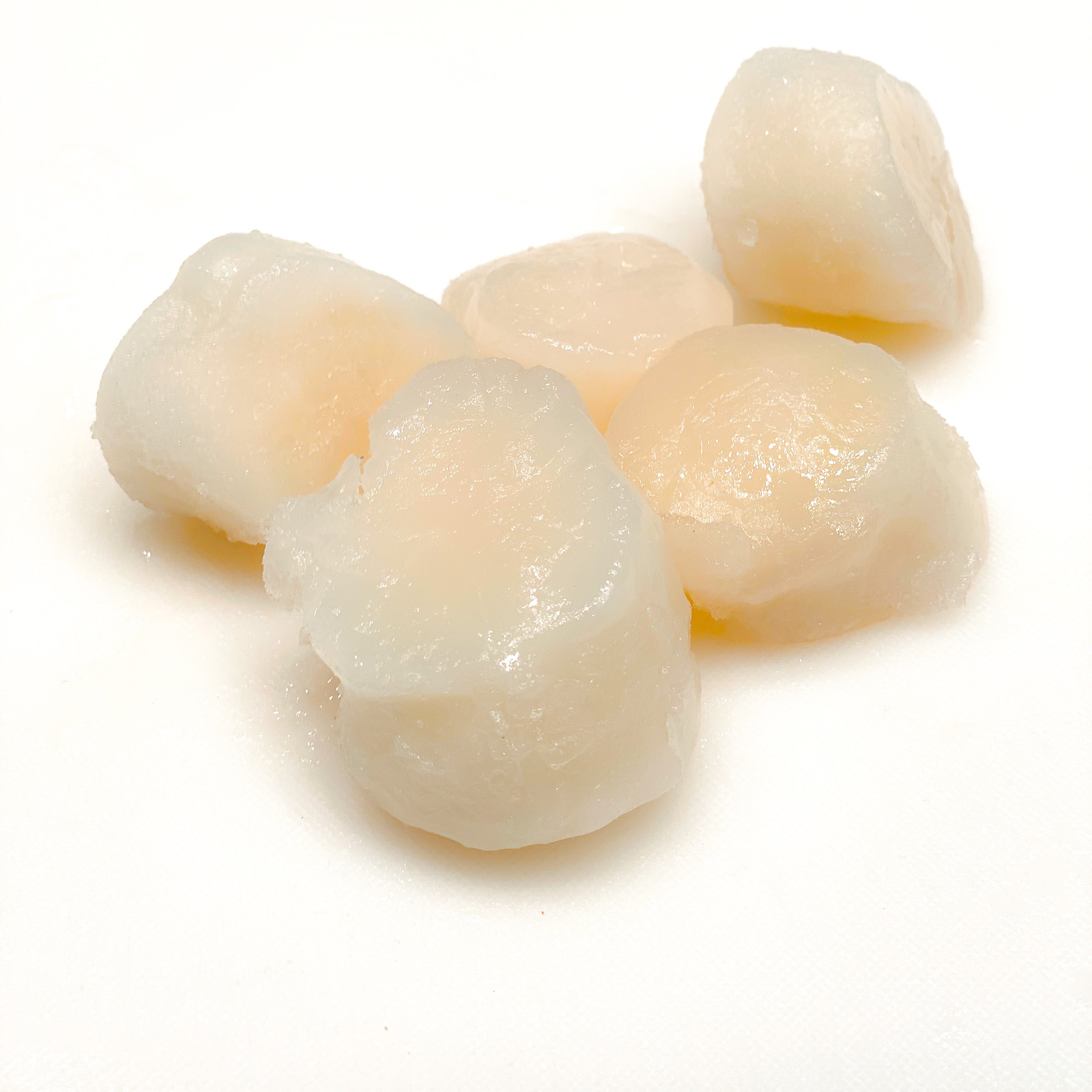 Scallops Roe Off Scallops Roe Off – Seafood and More
