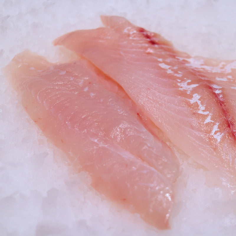 Red Snapper Fillets – Seafood and More