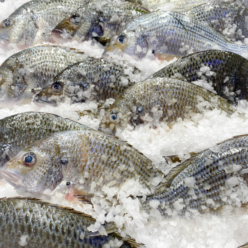 Silver Bream – Seafood and More