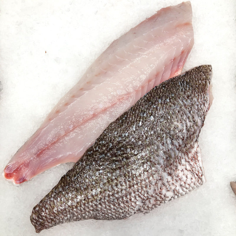 Queen Snapper Fillet